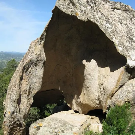 La Suara Tolta *