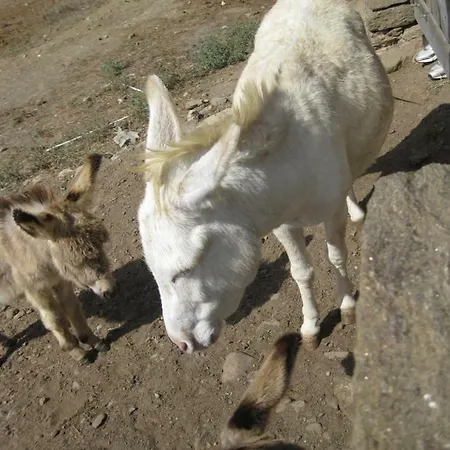 La Suara Tolta * San Pantaleo